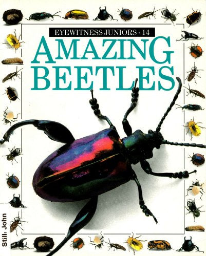 Amazing Beetles - Eyewitness Juniors