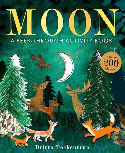 Moon - A Peek Through Activity Book