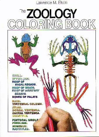 The Zoology Coloring Book