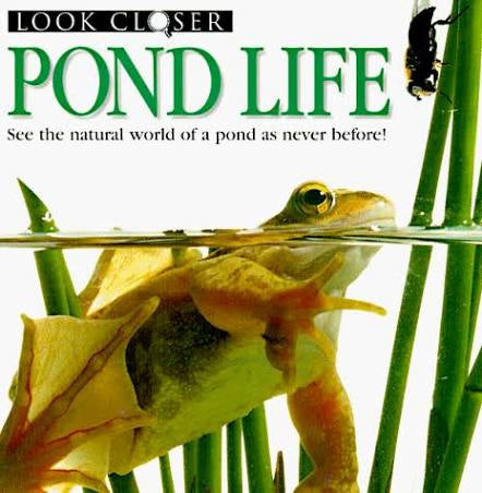 Pond Life - Closer Look