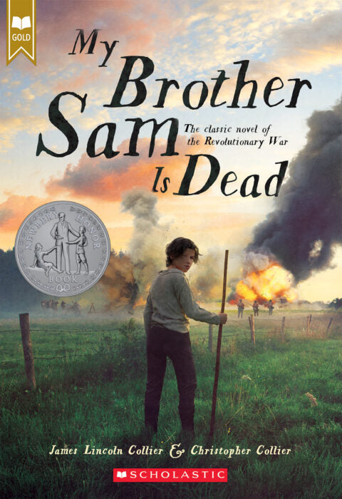 My Brother Sam Is Dead - Paperback