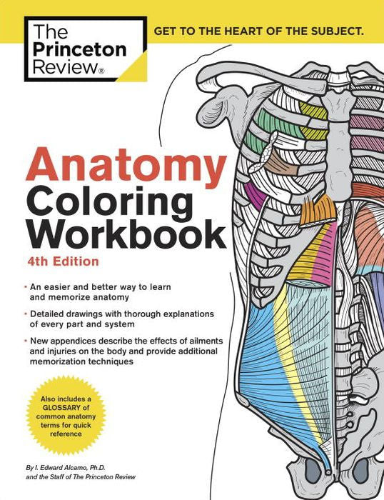 Anatomy Coloring Book