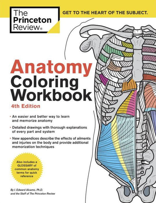 Anatomy Coloring Book
