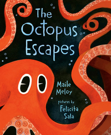 The Octopus Escapes - Board Book
