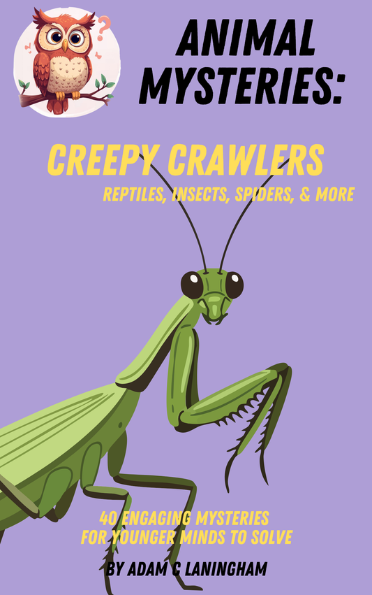 Animal Mysteries: Creepy Crawlers - Reptiles, Insects, Spiders, & more