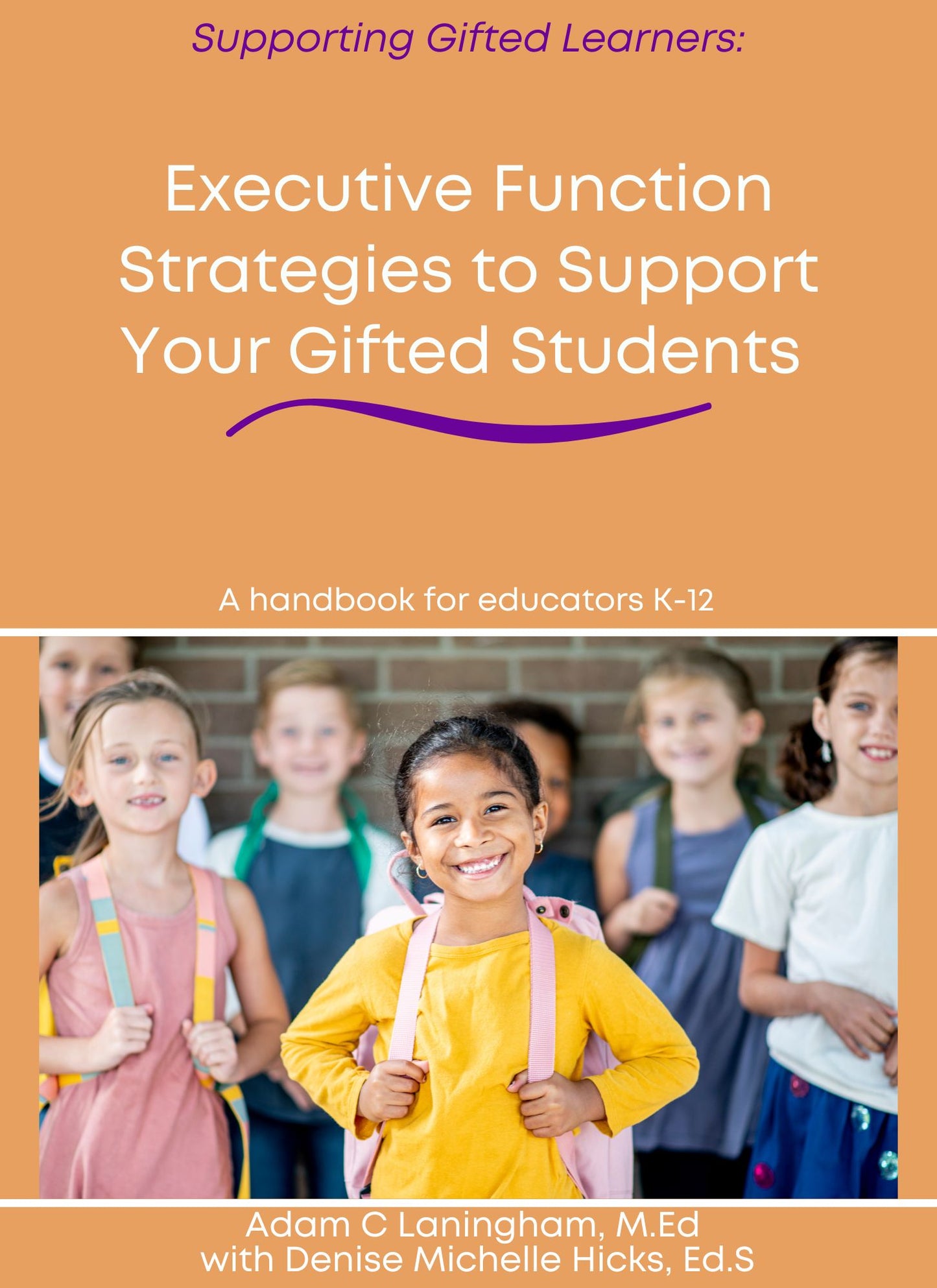 Executive Function Strategies to Support Your Gifted Students: A handbook for educators K-12 (Supporting Gifted Learners)