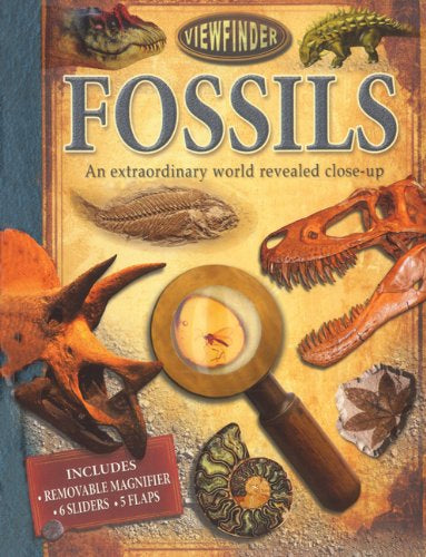 Fossils - An Extraordinary World Revealed Close-Up