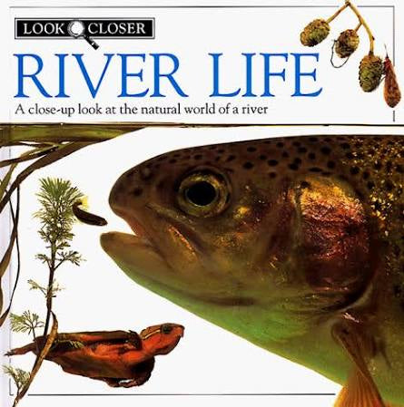 River Life -Look Closer