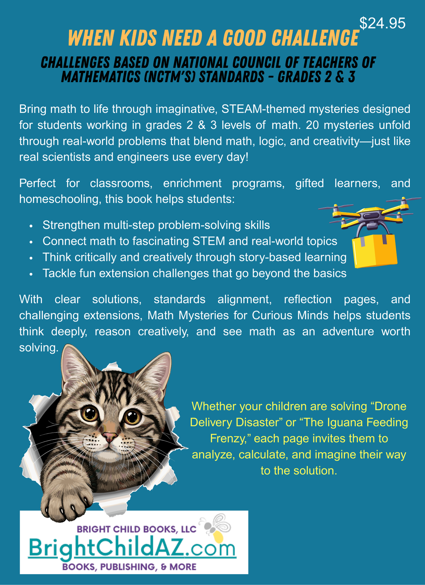 Math Mysteries for Curious Minds - Grades 2-3