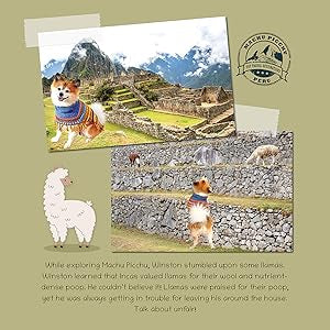 Winston The Traveling Dog Goes To Peru & Argentina