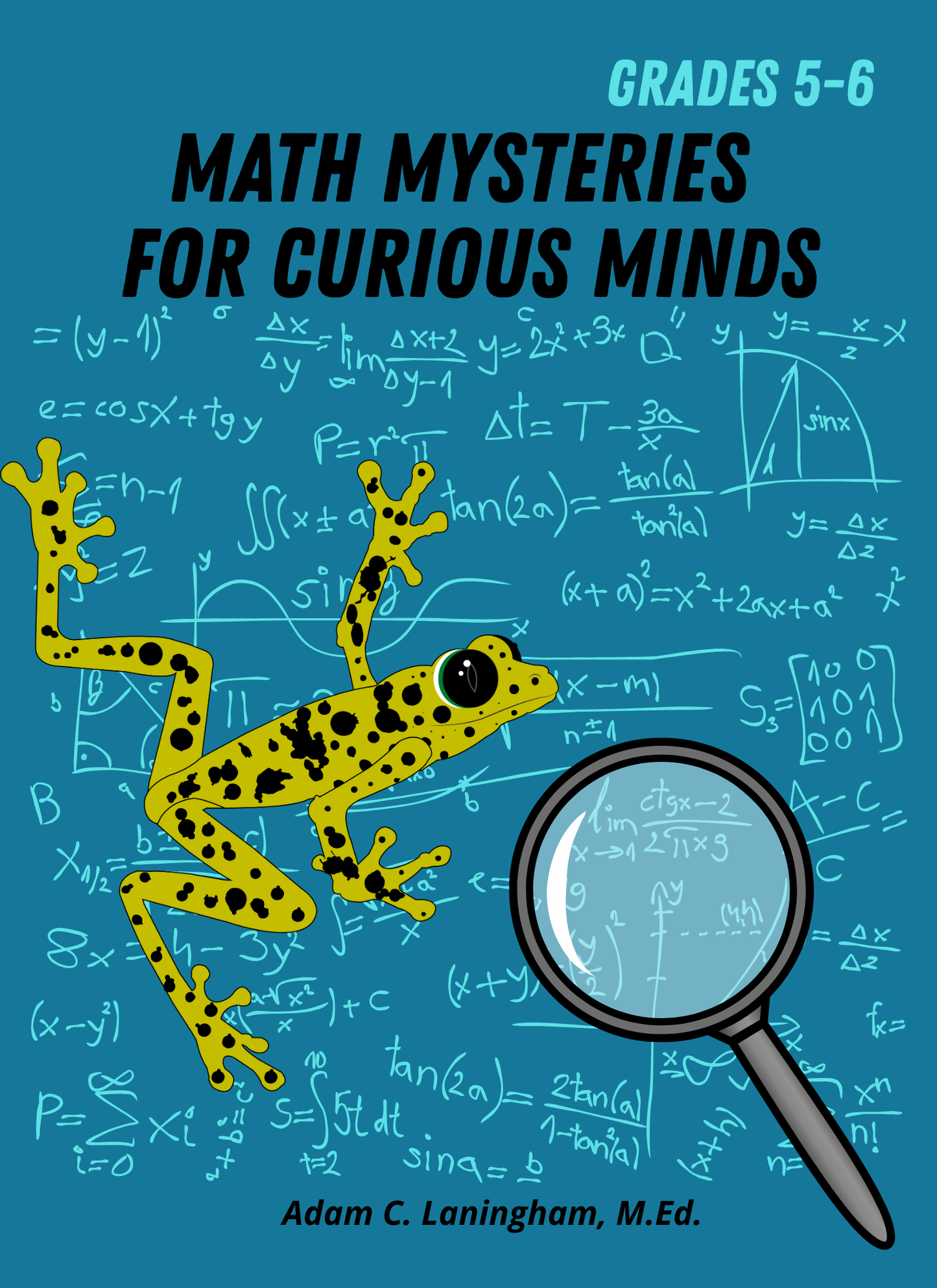 Math Mysteries for Curious Minds - Grades 5-6