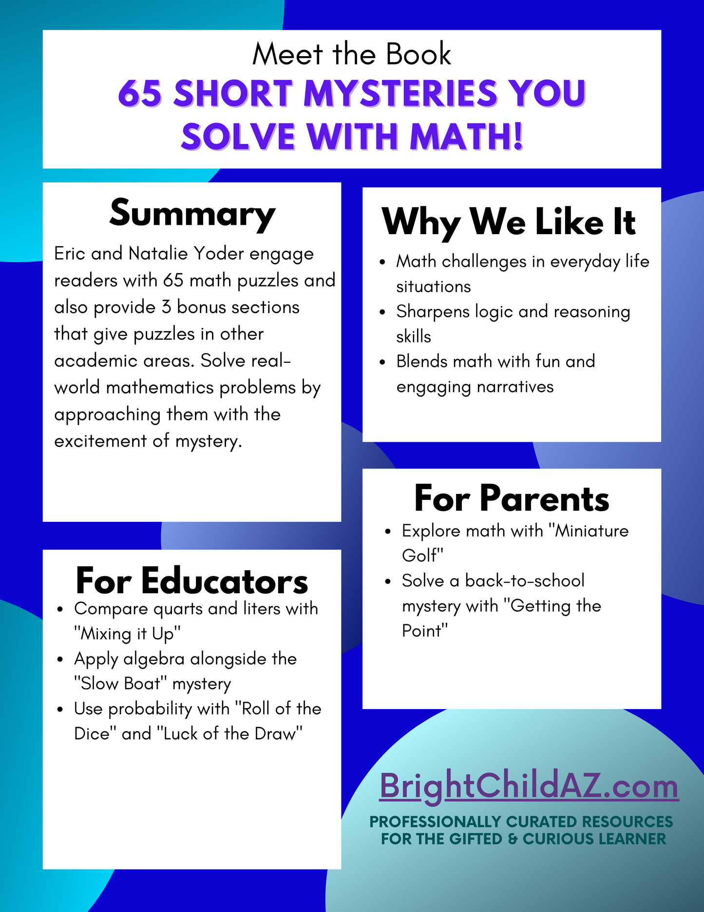 One Minute Mysteries: 65 Short Mysteries You Solve with Math!