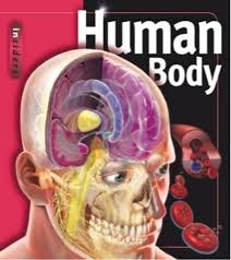 Human Body (Insiders)
